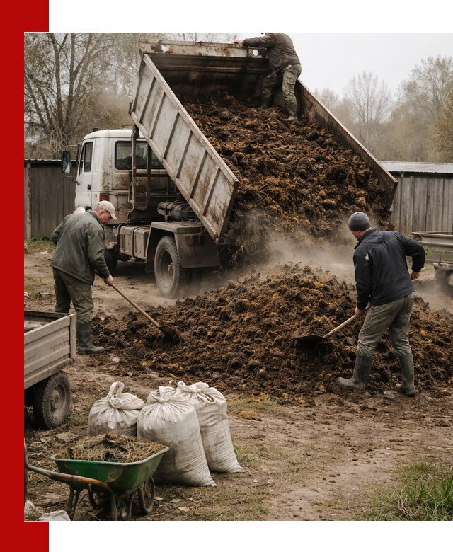 Доставка коровьего навоза самосвалом в Юбилейном